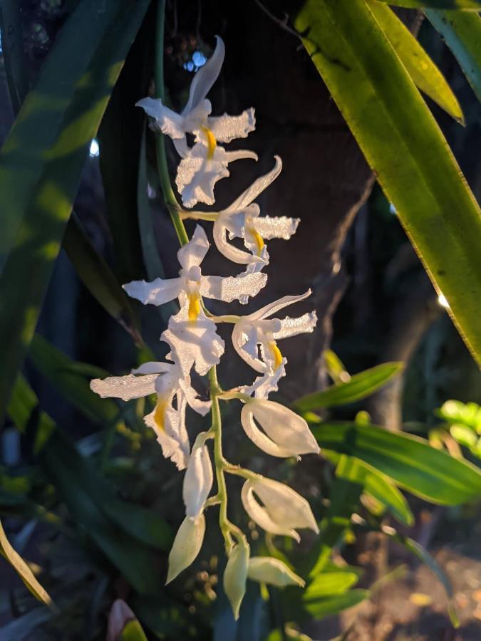Recanto Ancora Azul - Taipu De Fora Barra Grande  Eksteriør bilde